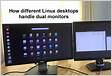 Linux dual monitor rdp